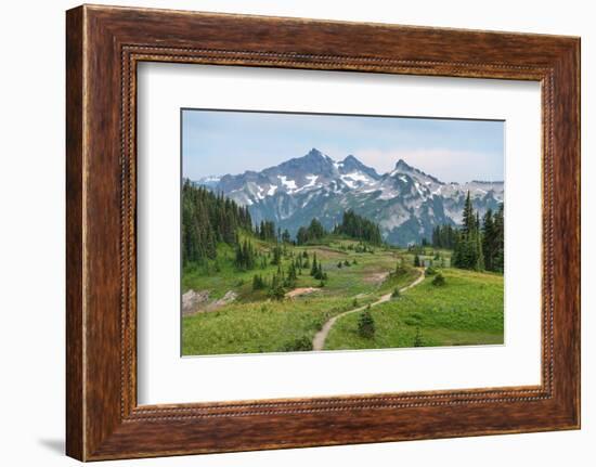 Tatoosh Range and Skyline Trail, Mount Rainier National Park, Washington State-Alan Majchrowicz-Framed Photographic Print