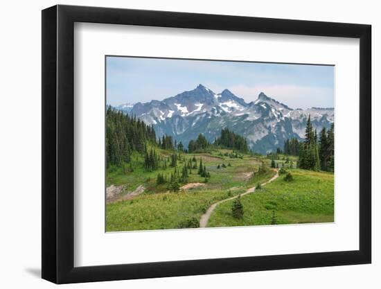 Tatoosh Range and Skyline Trail, Mount Rainier National Park, Washington State-Alan Majchrowicz-Framed Photographic Print