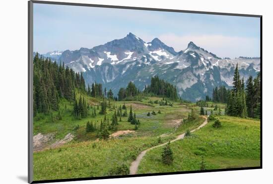 Tatoosh Range and Skyline Trail, Mount Rainier National Park, Washington State-Alan Majchrowicz-Mounted Photographic Print