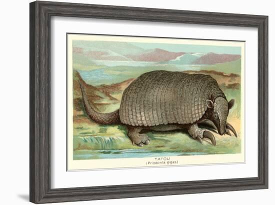 Tatou Armadillo-null-Framed Art Print