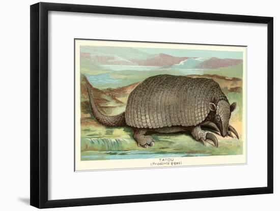 Tatou Armadillo-null-Framed Art Print