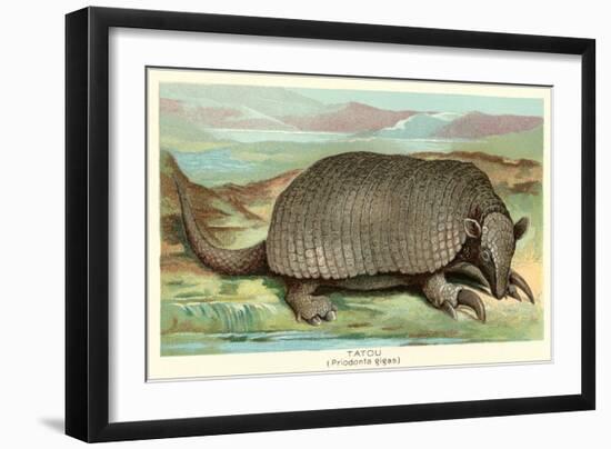 Tatou Armadillo-null-Framed Art Print