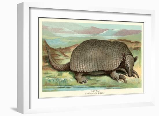 Tatou Armadillo-null-Framed Art Print