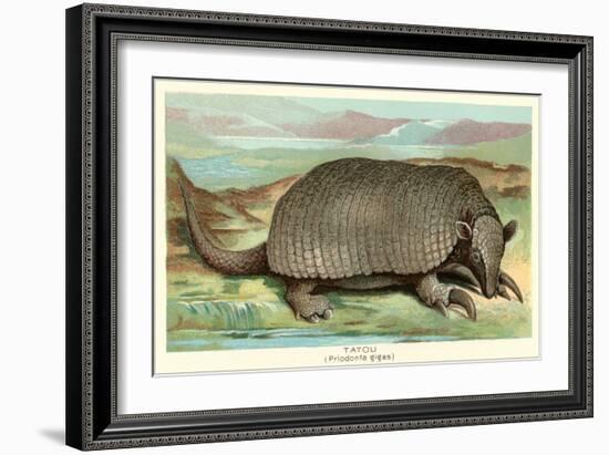 Tatou Armadillo-null-Framed Art Print