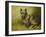 Tatters-John Emms-Framed Giclee Print