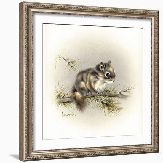 Tattle-Tail Baby-Peggy Harris-Framed Giclee Print