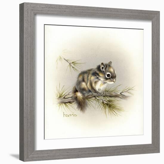 Tattle-Tail Baby-Peggy Harris-Framed Giclee Print