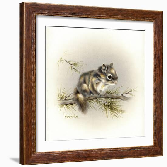 Tattle-Tail Baby-Peggy Harris-Framed Giclee Print