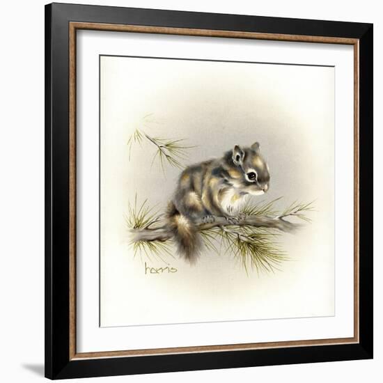 Tattle-Tail Baby-Peggy Harris-Framed Giclee Print