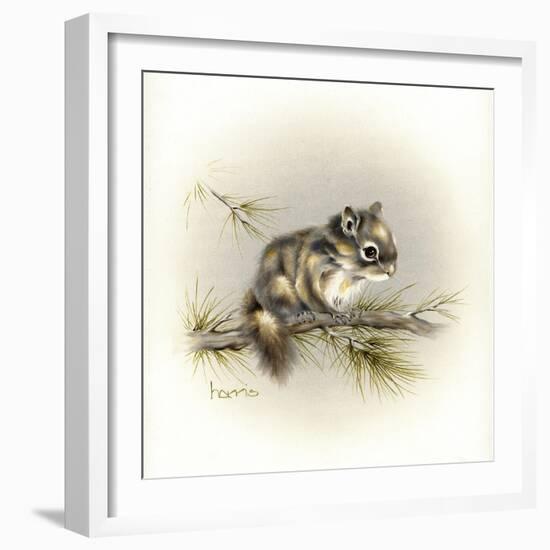 Tattle-Tail Baby-Peggy Harris-Framed Giclee Print