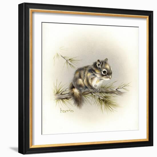 Tattle-Tail Baby-Peggy Harris-Framed Giclee Print