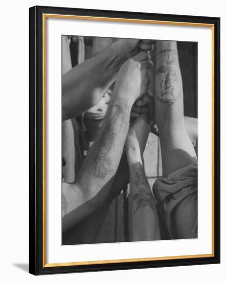 Tattooed Arms of Us Sailors on Minesweeper "Peacock", in Japanese Waters-John Dominis-Framed Photographic Print