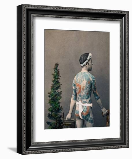 Tattooed Japanese Betto-Groom, C.1880 (Hand Coloured Albumen Print)-Kusakabe Kimbei-Framed Giclee Print