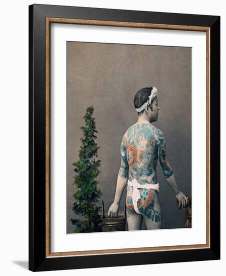 Tattooed Japanese Betto-Groom, C.1880 (Hand Coloured Albumen Print)-Kusakabe Kimbei-Framed Giclee Print