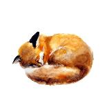 Watercolor Illustration of a Sleeping Fox on the White Background.Hand Drawn Sketch Cute Watercolor-Tatyana Komtsyan-Art Print