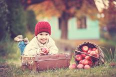 Apple Season-Tatyana Tomsickova-Photographic Print