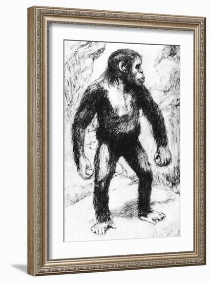 Taungs Ape-Man-null-Framed Giclee Print