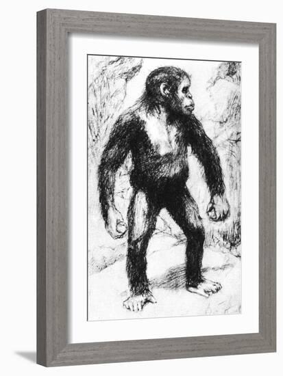 Taungs Ape-Man-null-Framed Giclee Print