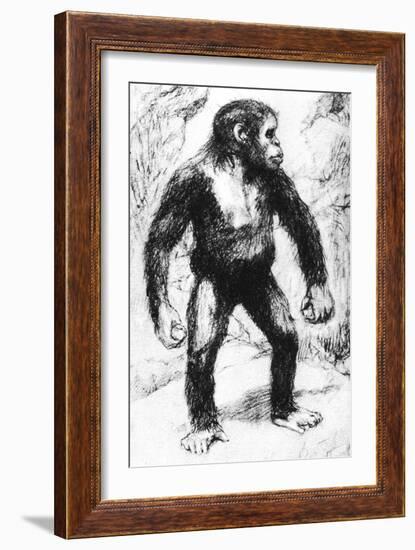 Taungs Ape-Man-null-Framed Giclee Print