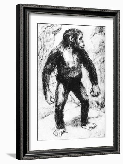 Taungs Ape-Man-null-Framed Giclee Print