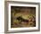 Tauromaquia-Francisco de Goya-Framed Art Print