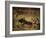 Tauromaquia-Francisco de Goya-Framed Art Print