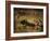 Tauromaquia-Francisco de Goya-Framed Art Print