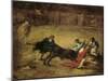 Tauromaquia-Francisco de Goya-Mounted Art Print