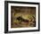 Tauromaquia-Francisco de Goya-Framed Art Print