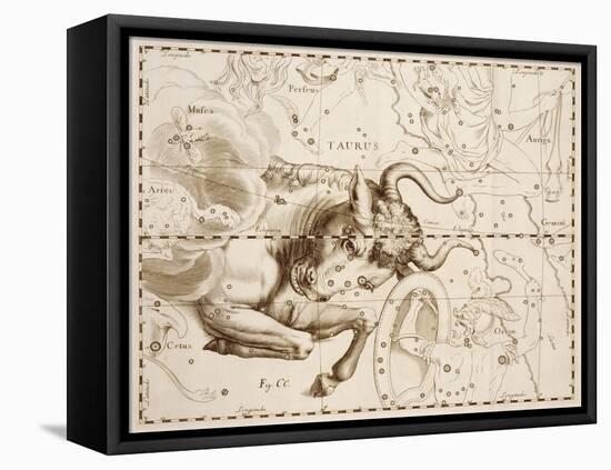 Taurus (Zodiac Sign)-Johannes Hevelius-Framed Premier Image Canvas
