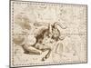 Taurus (Zodiac Sign)-Johannes Hevelius-Mounted Giclee Print
