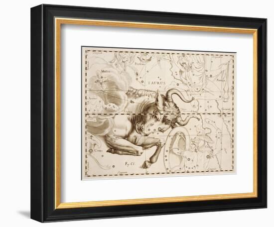 Taurus (Zodiac Sign)-Johannes Hevelius-Framed Giclee Print