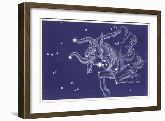 Taurus-Roberta Norton-Framed Art Print