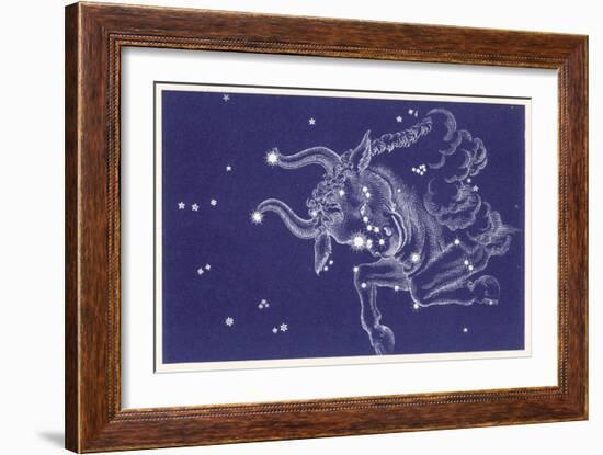 Taurus-Roberta Norton-Framed Art Print