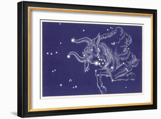 Taurus-Roberta Norton-Framed Art Print