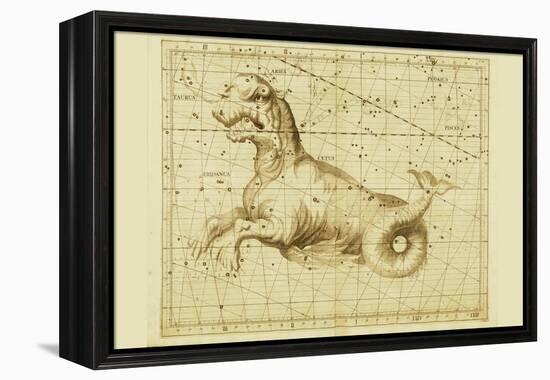 Taurus-Sir John Flamsteed-Framed Stretched Canvas