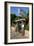 Taverna Lassi, Kefalonia, Greece-Peter Thompson-Framed Photographic Print