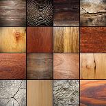 Large Collection of Wood Textures-taviphoto-Framed Photographic Print