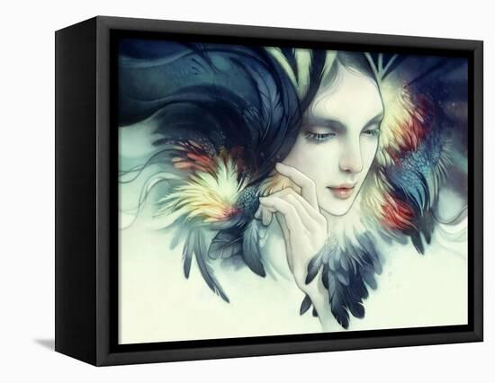 Tavuk-Anna Dittman-Framed Stretched Canvas