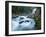 Tawhai Falls, Tongariro National Park, UNESCO World Heritage Site, North Island, New Zealand, Pacif-Ben Pipe-Framed Photographic Print