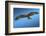 Tawny Eagle Flying, Filling Frame-Sheila Haddad-Framed Photographic Print