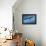 Tawny Eagle Flying, Filling Frame-Sheila Haddad-Framed Premier Image Canvas displayed on a wall