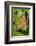 Tawny Emperor (Asterocampa clyton) sunning-Larry Ditto-Framed Photographic Print