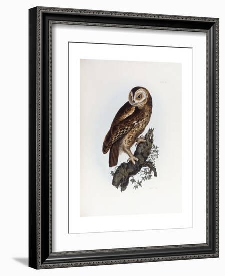 Tawny Owl, 1841-Prideaux John Selby-Framed Giclee Print