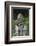 Tawny owl (Strix aluco), captive, United Kingdom, Europe-Ann and Steve Toon-Framed Photographic Print