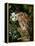 Tawny Owl with Full Moon and Holly-null-Framed Premier Image Canvas