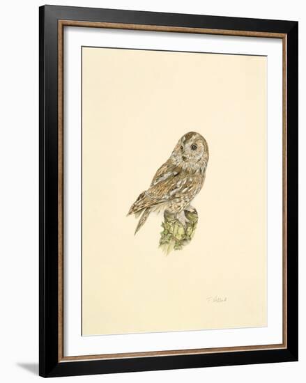 Tawny Owl-C^T^N^ Ackland-Framed Premium Giclee Print