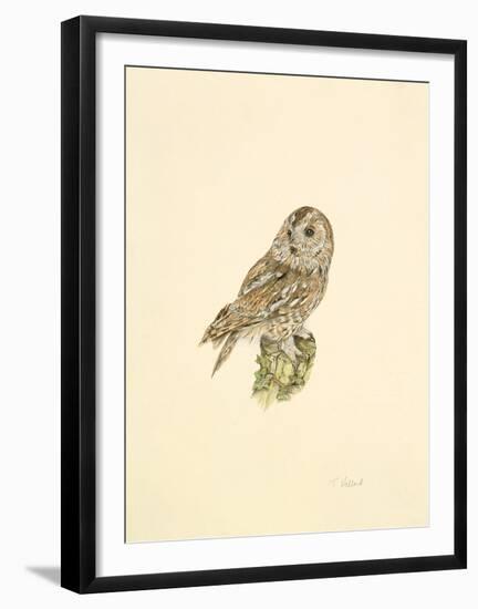 Tawny Owl-C^T^N^ Ackland-Framed Premium Giclee Print