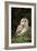 Tawny Owl-Colin Varndell-Framed Photographic Print