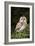 Tawny Owl-Colin Varndell-Framed Photographic Print